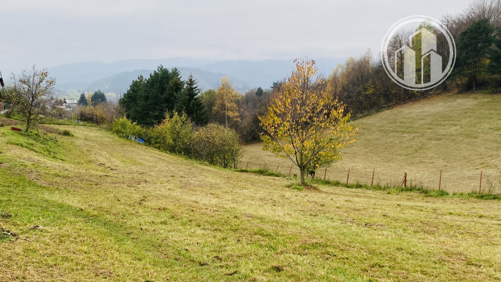EXKLUZÍVNE na predaj rodinný dom v obci Čavoj