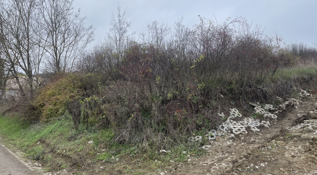 Predaj pozemku na ulici Horná- 19 árov